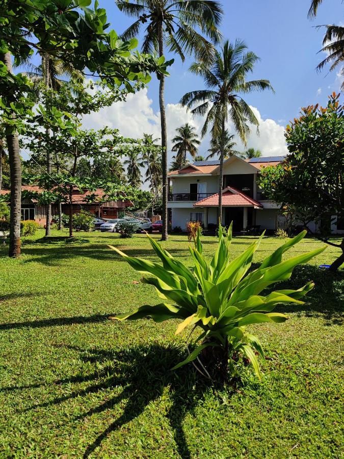Pura Vida Varkala Hotel Bagian luar foto
