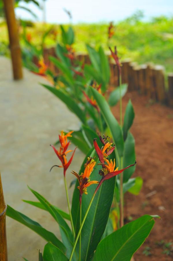 Pura Vida Varkala Hotel Bagian luar foto